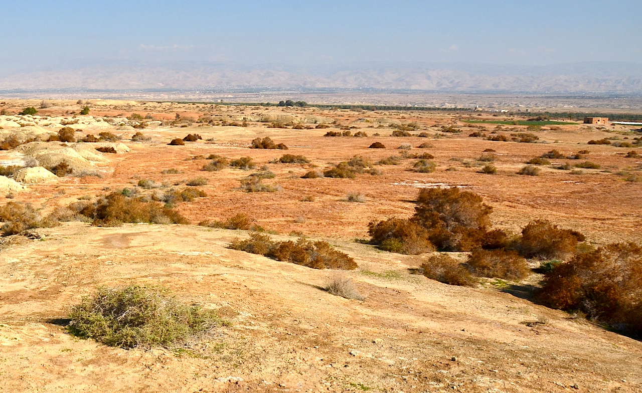 Canaan in the Desert
